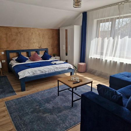 Dania&Petru Residence Tîrgu Ocna エクステリア 写真