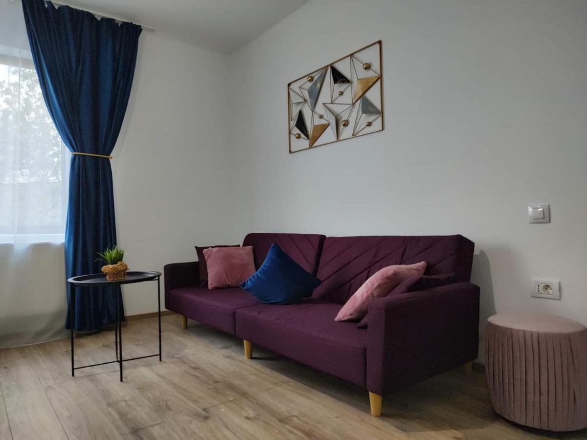 Dania&Petru Residence Tîrgu Ocna エクステリア 写真