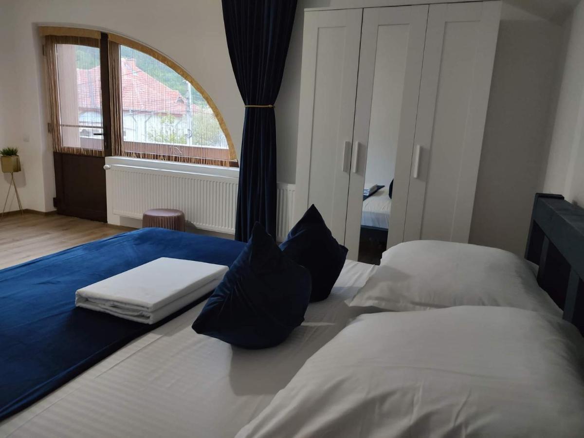 Dania&Petru Residence Tîrgu Ocna エクステリア 写真