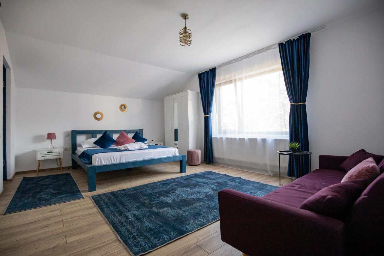 Dania&Petru Residence Tîrgu Ocna エクステリア 写真