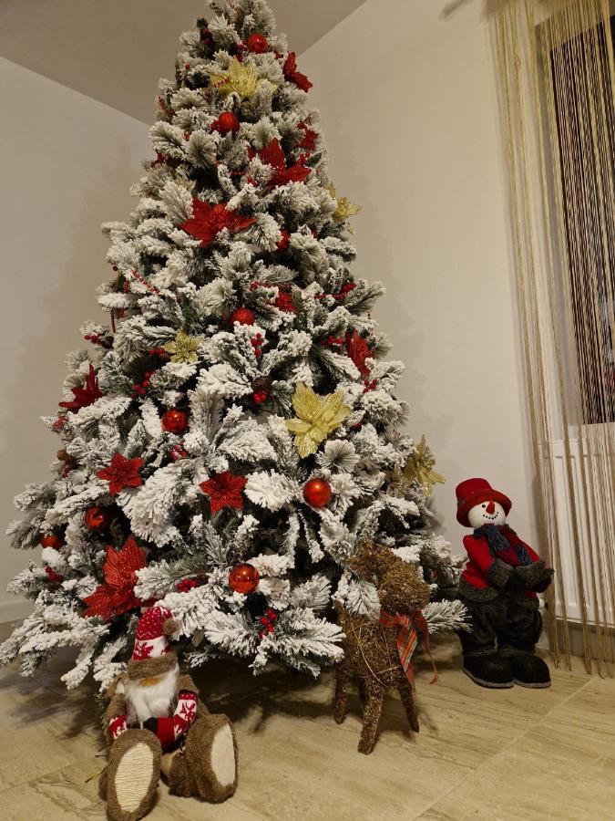 Dania&Petru Residence Tîrgu Ocna エクステリア 写真